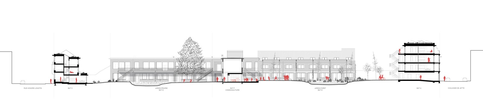 Maison MDW - Carton de Wiart