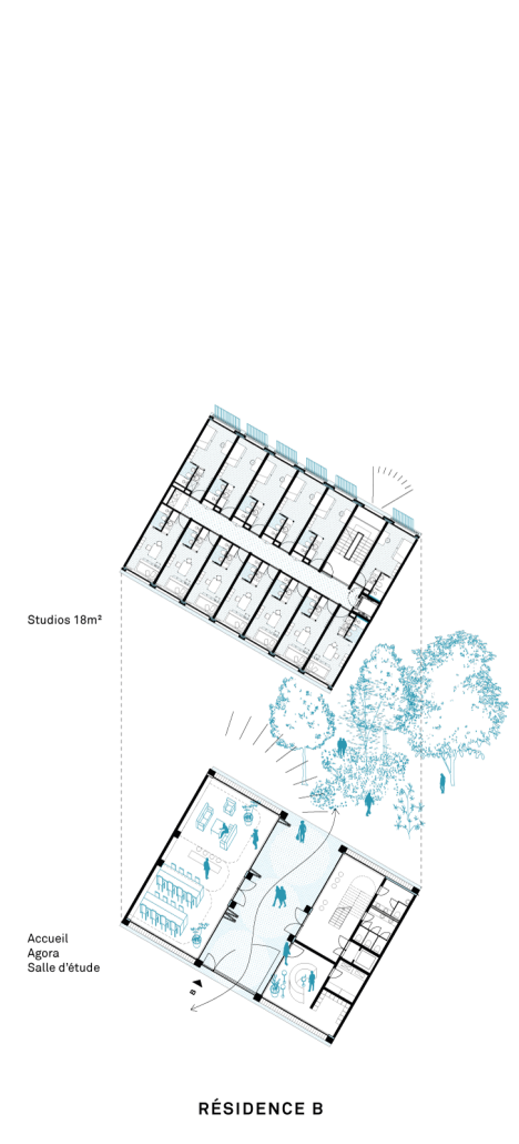 Maison MDW - Printemps Couronne