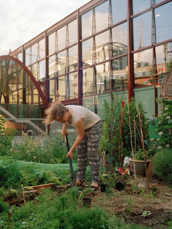 Collectif Potager Terra Nova