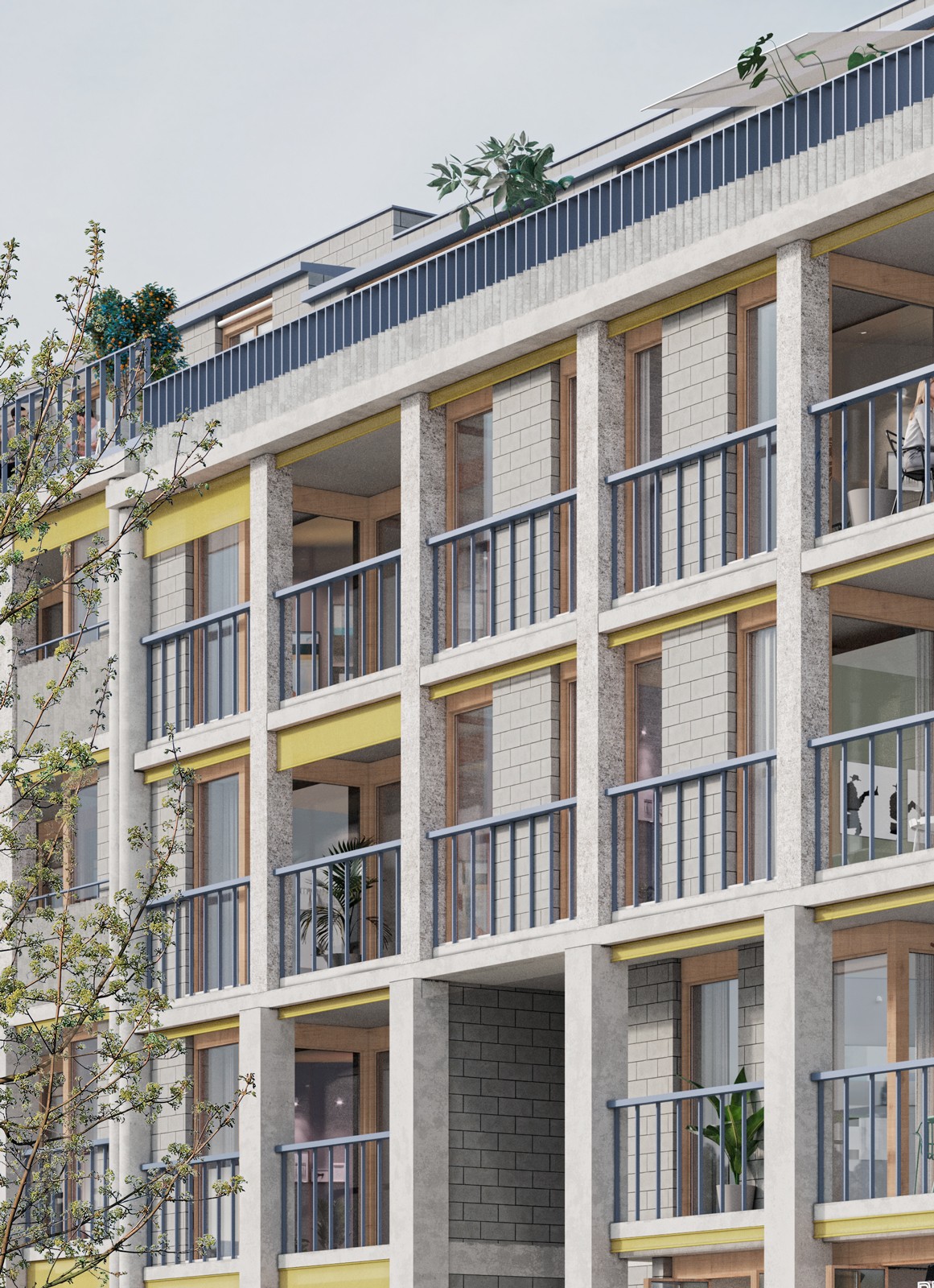 Maison MDW - Trèfles