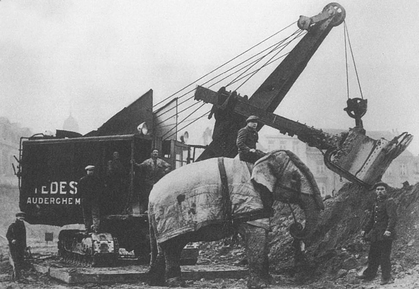 Maison MDW - Learning from Brussels