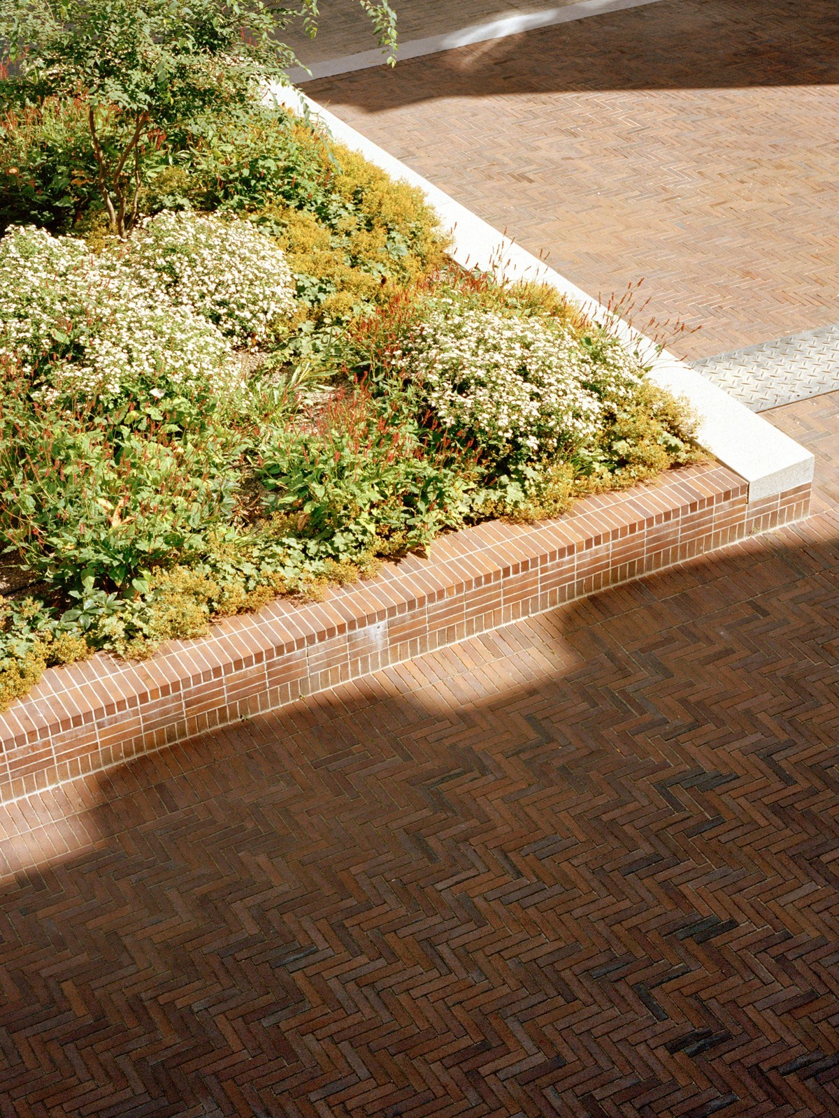 Maison MDW - Parlement