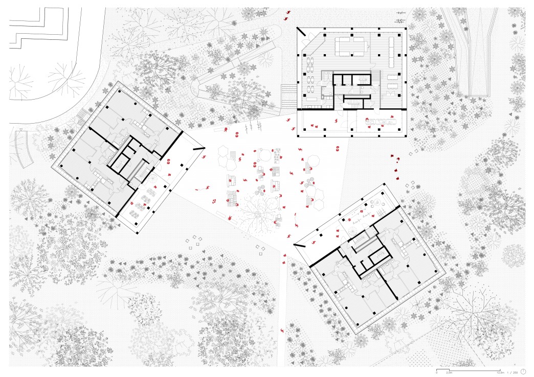 3 blocks in a forest clearing
