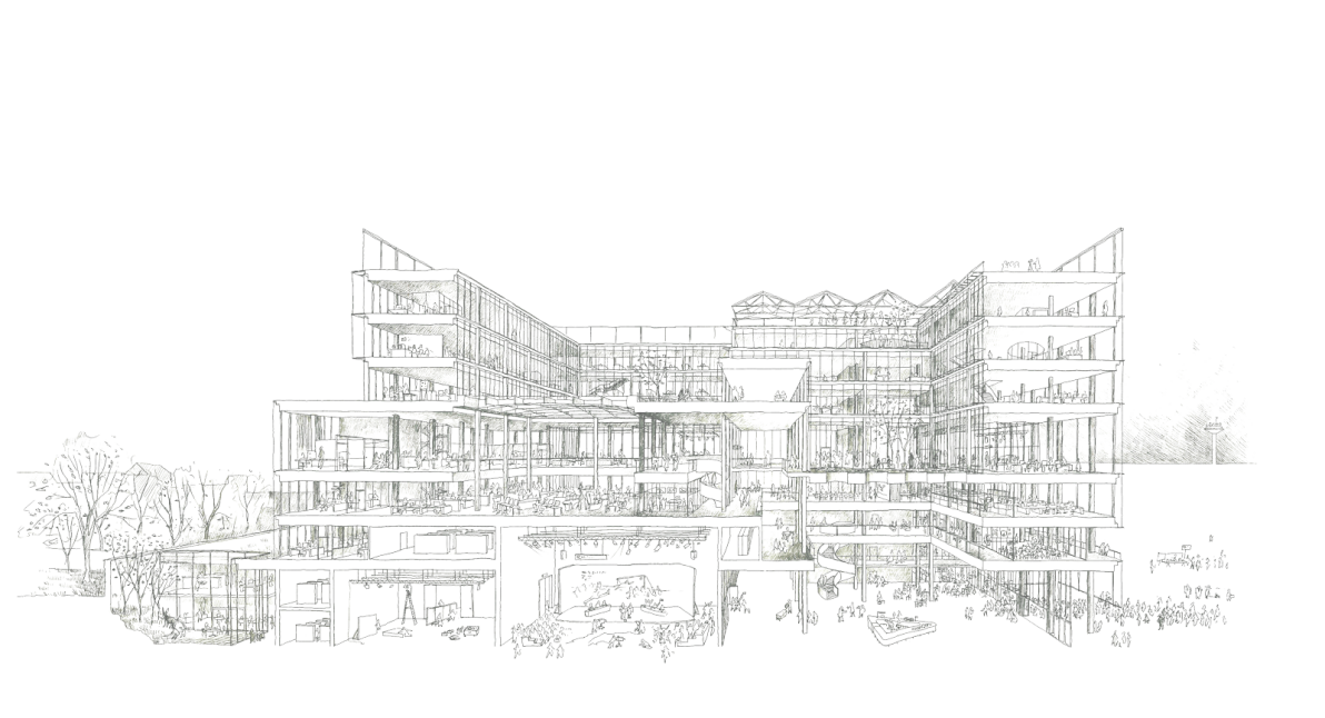 Perspective cross-section of uses and volumes