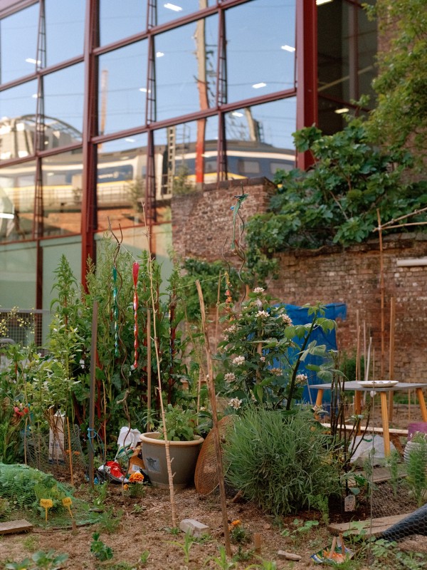 Vegetable gardens, Collectif Potager Terra Nova